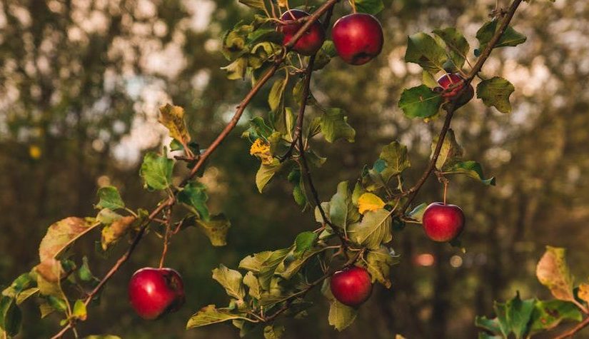 My Week in Words: Ode to&nbsp;Nature